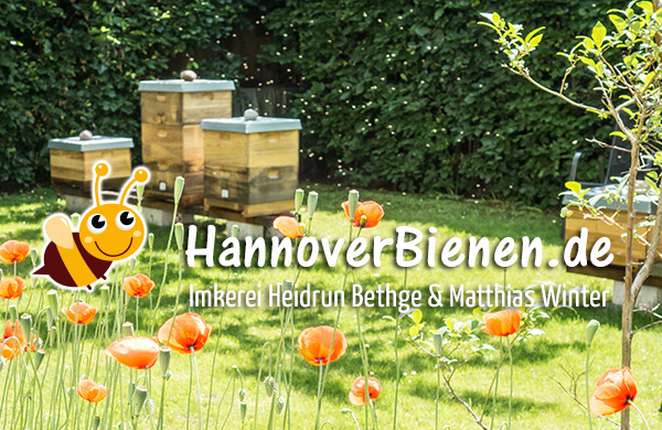 Newsletter HannoverBienen