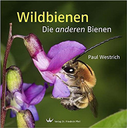 Cover Wildbienen, Paul Westrich